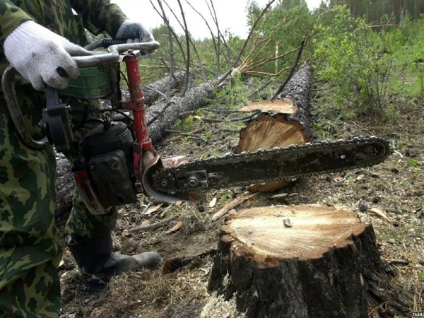 В Луганской области лесоруб в одиночку перекрыл движение поездов и подачу воды