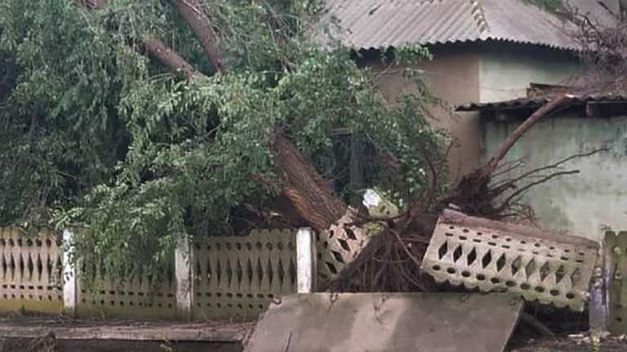 Срывал крыши и вырывал деревья: в Одесской области пронесся ураган – жуткие фото