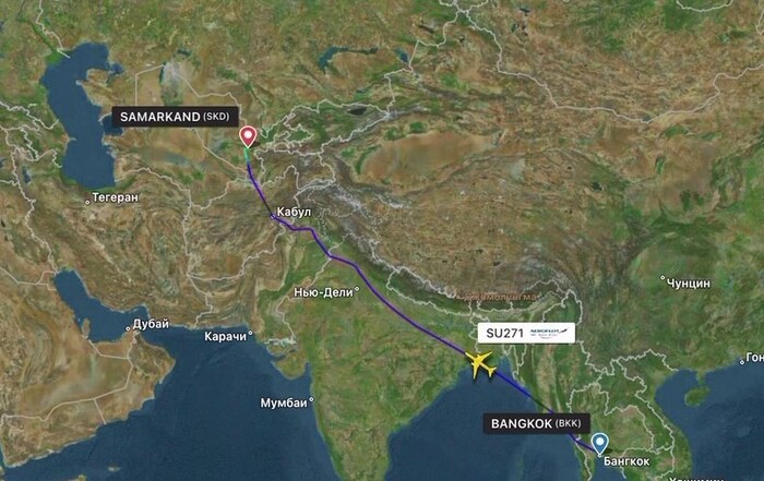 «Стюардесса долго несла воду». Стали известны подробности скандала на борту самолёта Бангкок