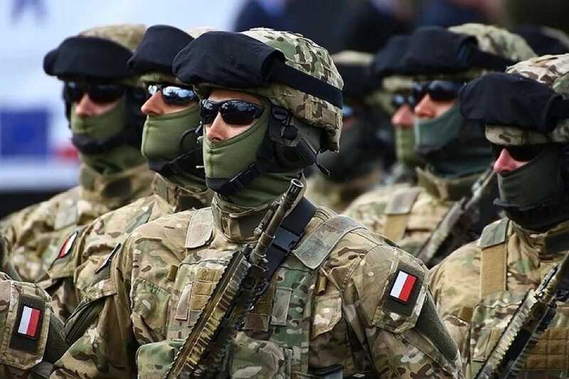 Более половины поляков готовы остаться в стране, если начнется война