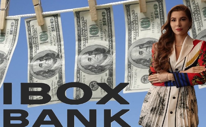 As the NSDC prepared sanctions, scandalous Ibox Bank owner Alyona Shevtsova was offloading assets
