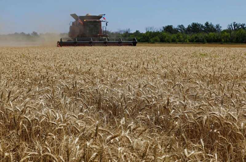 Baltic Control branch assists in transporting grain from areas under Russian occupation