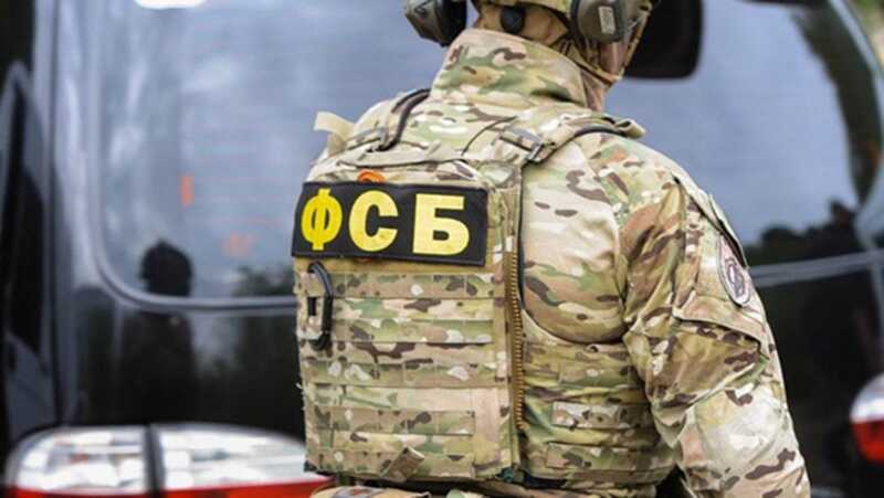 ФСБ задержала девять человек за пропаганду насилия в соцсетях