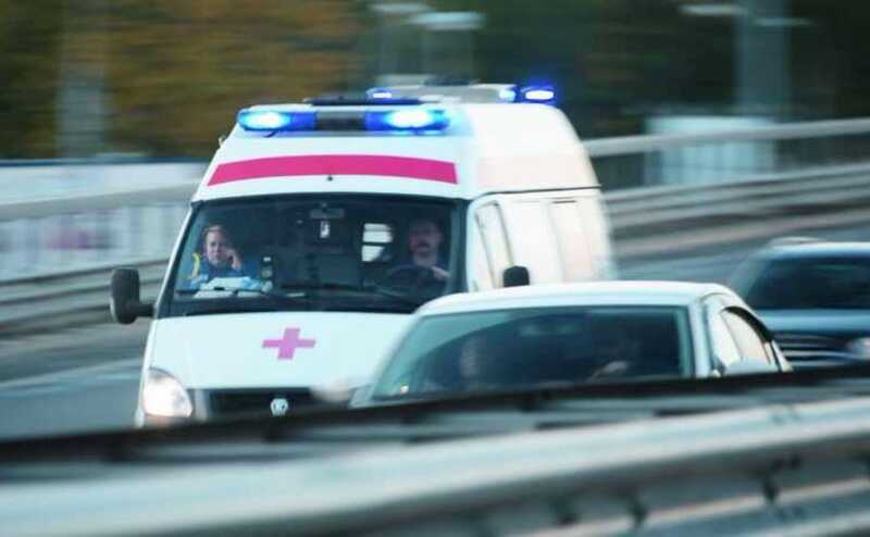 На Алтае ребёнка доставили в больницу после укуса змеи