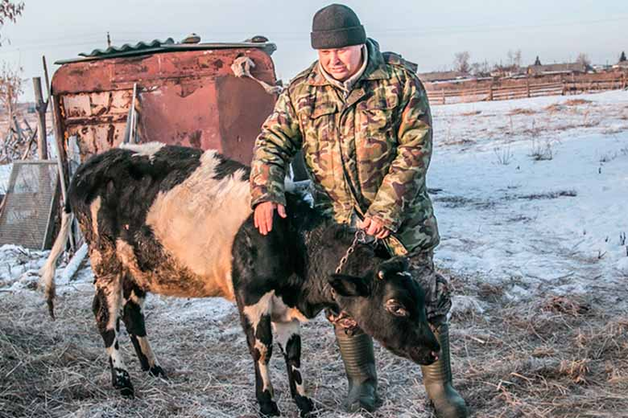 Прокурор извинился перед курганским фермером за дело о «теленке с GPS»