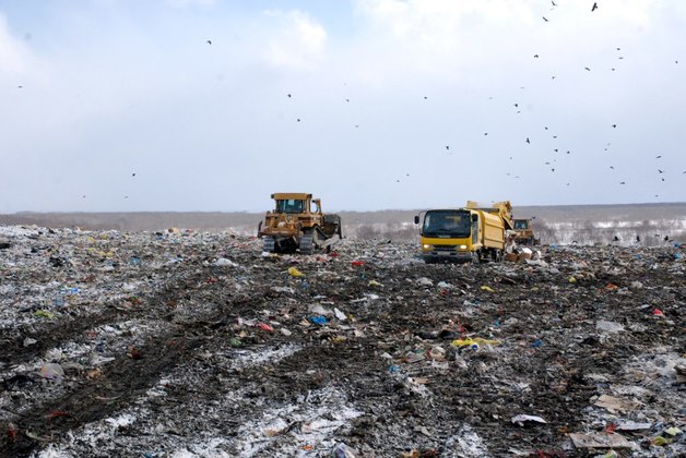 В Щелковском районе незаконно организовали сразу две свалки