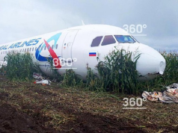 В России начали разбирать самолет, аварийно севший на кукурузное поле: фото шокируют