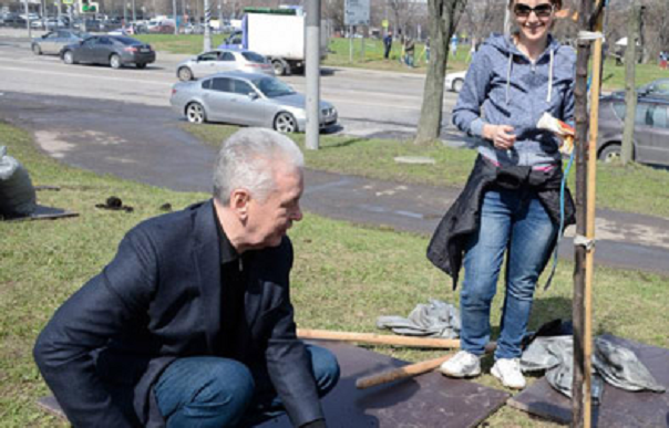 Собянин озеленит Москву согласно правленой озеленителем госзакупке