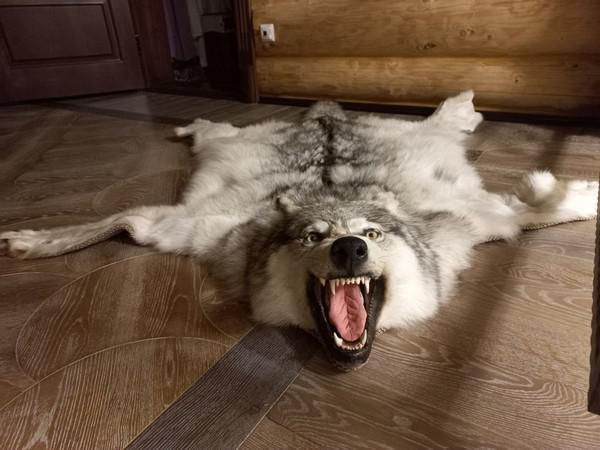 Compromat.Ru: 73064 Compromat.Ru: 73064