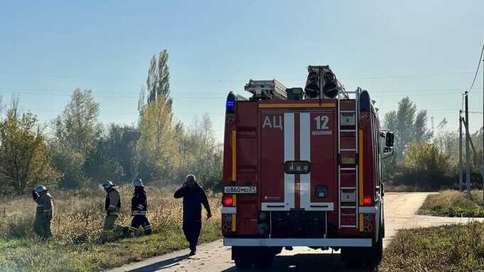 Губернатор Белгородской области сообщил о ликвидации пожаров